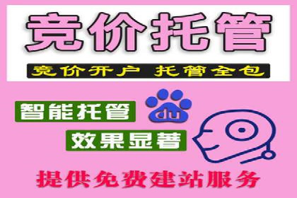 SEM竞价实战：成功案例解析
